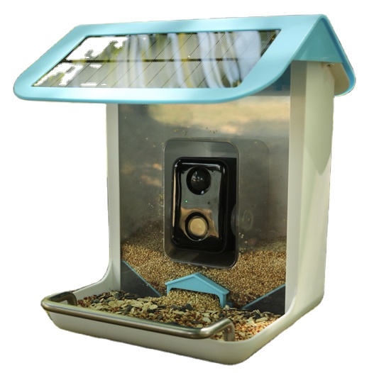 Smart Bird Feeder Camera - Telecamera Wi-Fi per Fauna Selvatica con