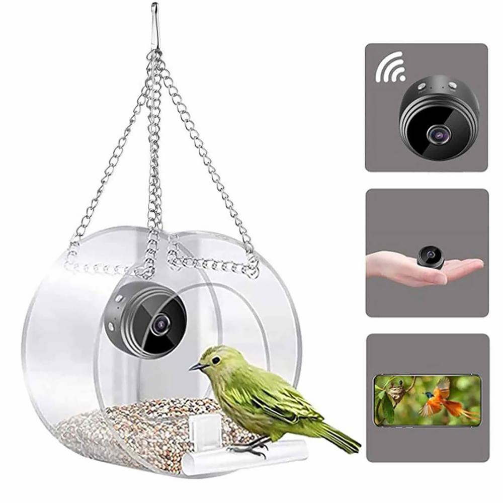 Smart Bird Feeder Camera - Mangiatoia per Uccelli con Telecamera Notturna