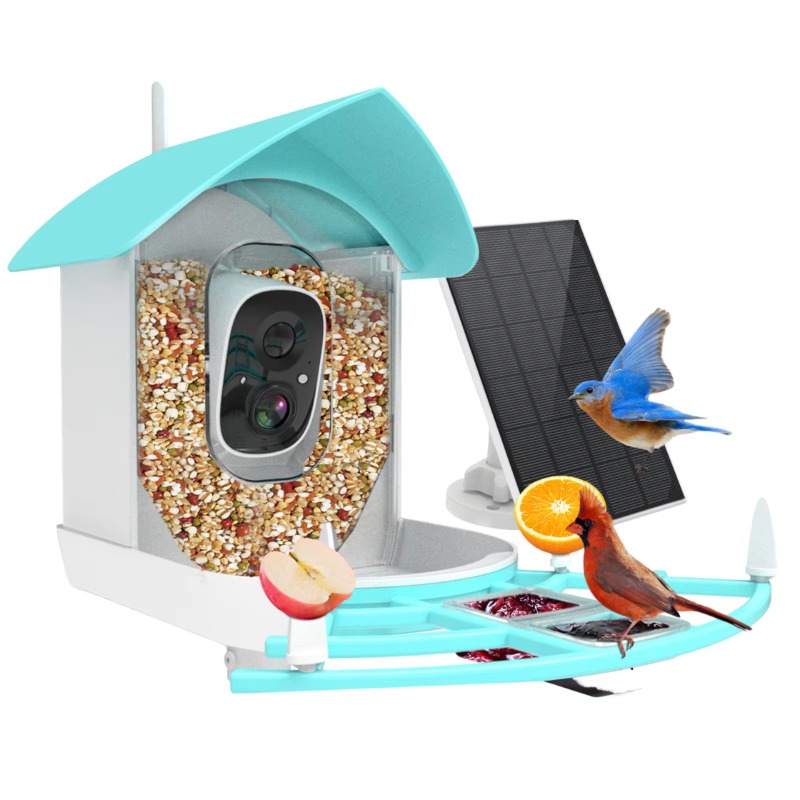 Smart Bird Feeder Camera - Mangiatoia per uccelli intelligente Visione notturna