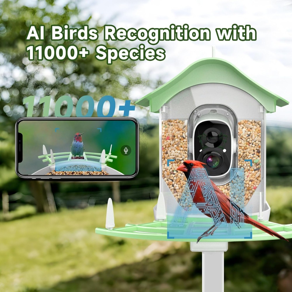 Mangiatoia per uccelli intelli - Smart Bird Feeder Camera recensione e prezzo