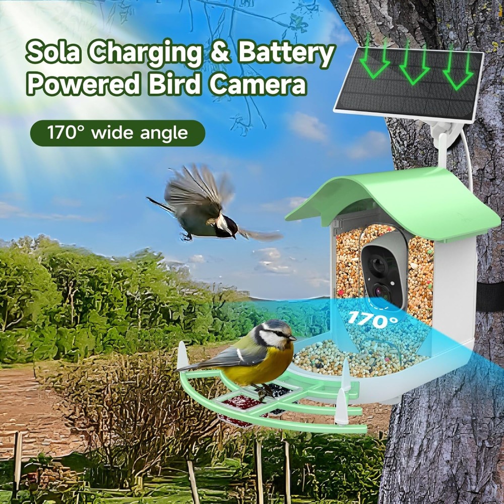 Mangiatoia per uccelli intelli - Smart Bird Feeder Camera recensione e prezzo