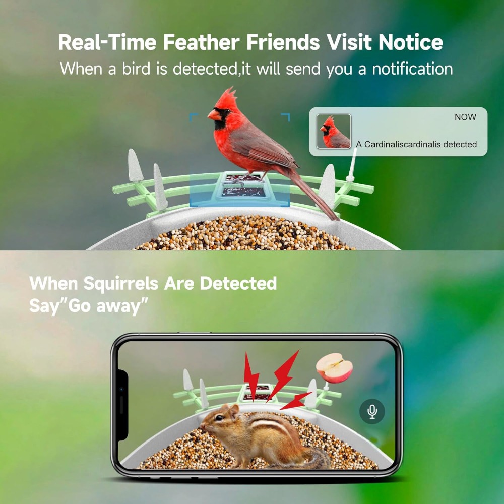 Mangiatoia per uccelli intelli - Smart Bird Feeder Camera recensione e prezzo
