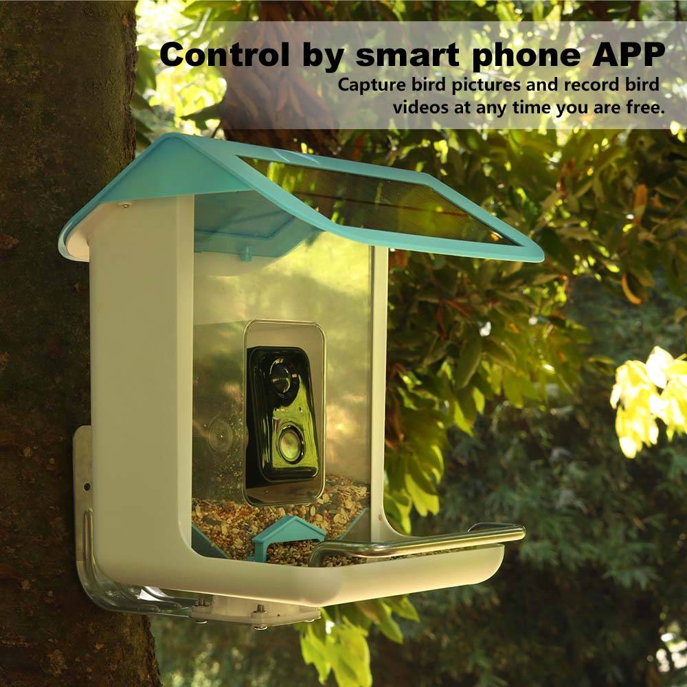 Telecamera Wi-Fi per Fauna Sel - Smart Bird Feeder Camera recensione e prezzo