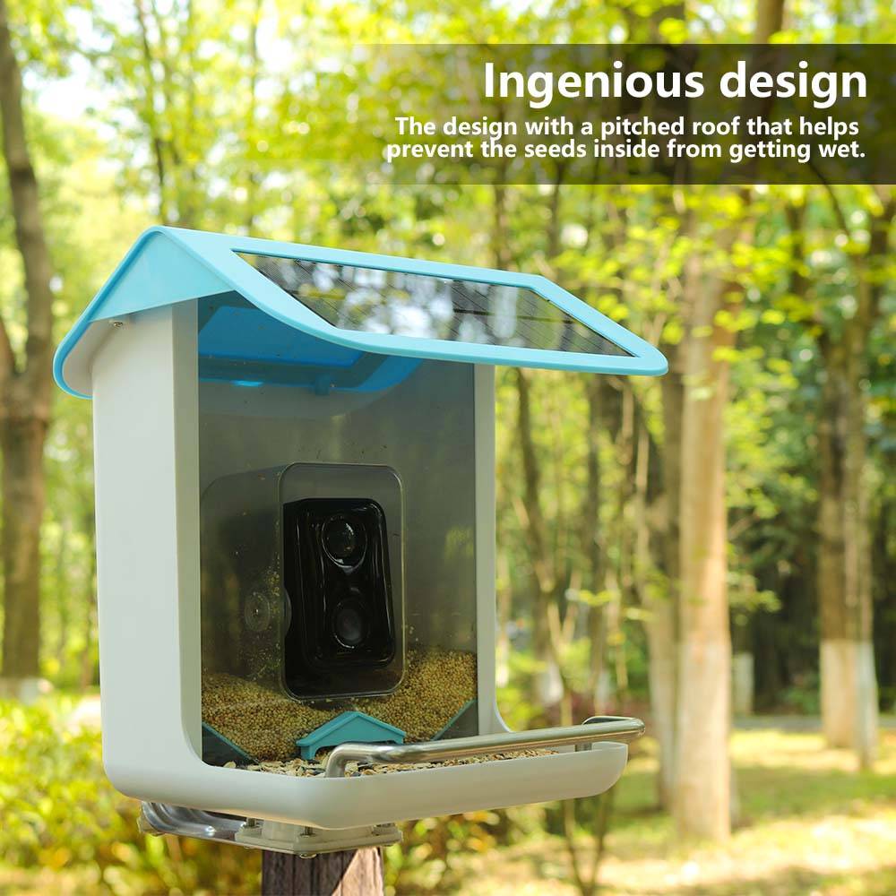 Telecamera Wi-Fi per Fauna Sel - Smart Bird Feeder Camera recensione e prezzo