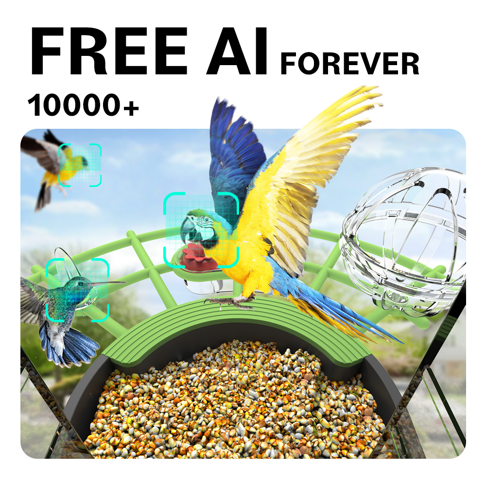 Mangiatoia per Uccelli Selvati - Smart Bird Feeder Camera recensione e prezzo