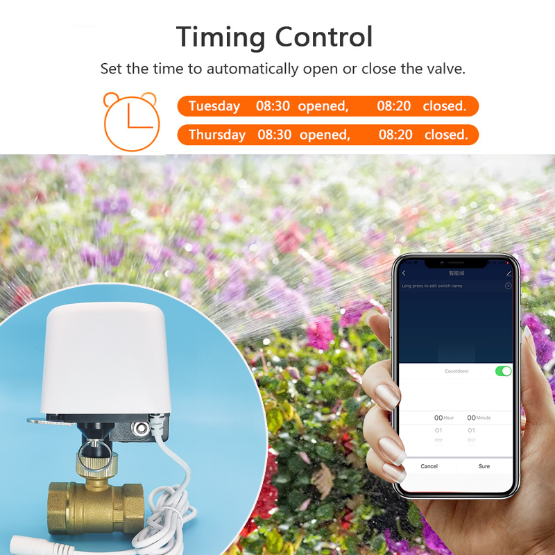 Valvola dell'Acqua WiFi Tuya Z - Smart Garden Water recensione e prezzo