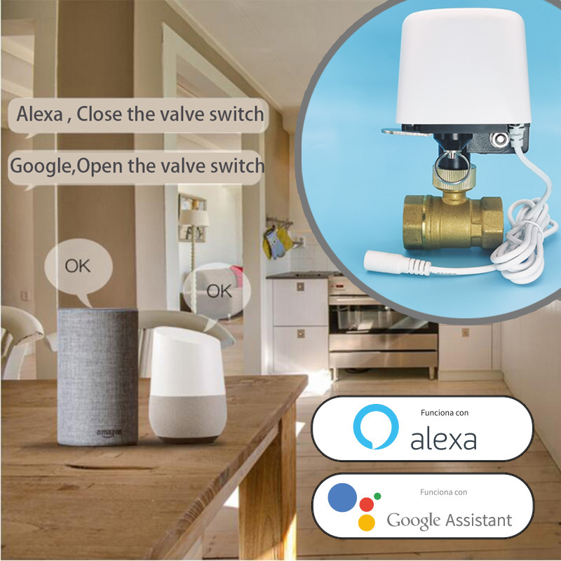 Valvola dell'Acqua WiFi Tuya Z - Smart Garden Water recensione e prezzo