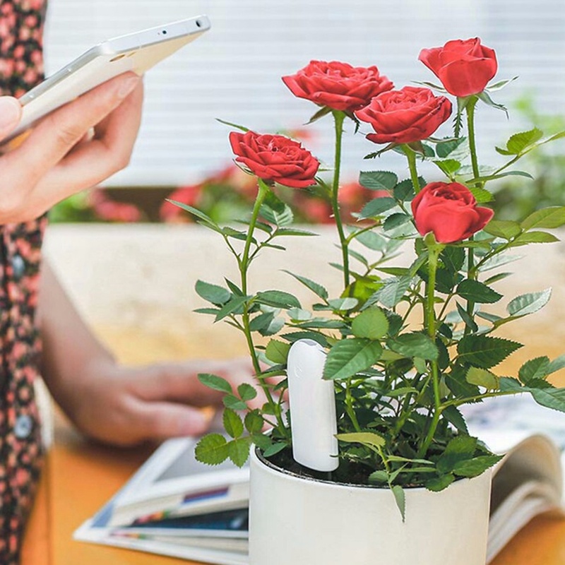 HHCC Fiore Monitor Flora Giard - Smart Garden Water recensione e prezzo
