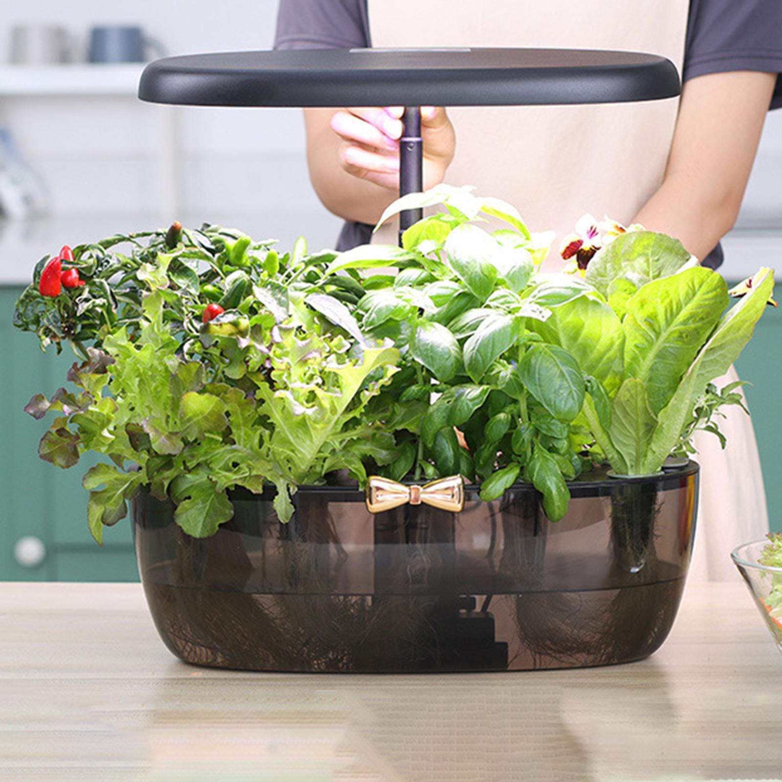 Macchina per coltivazione idro - Smart Pod Garden recensione e prezzo