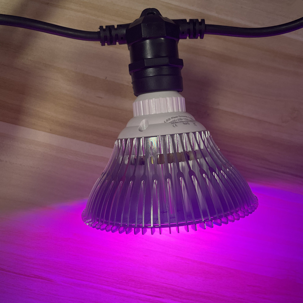 Cavo LED da 10 m, impermeabile - Smart Garden Light recensione e prezzo