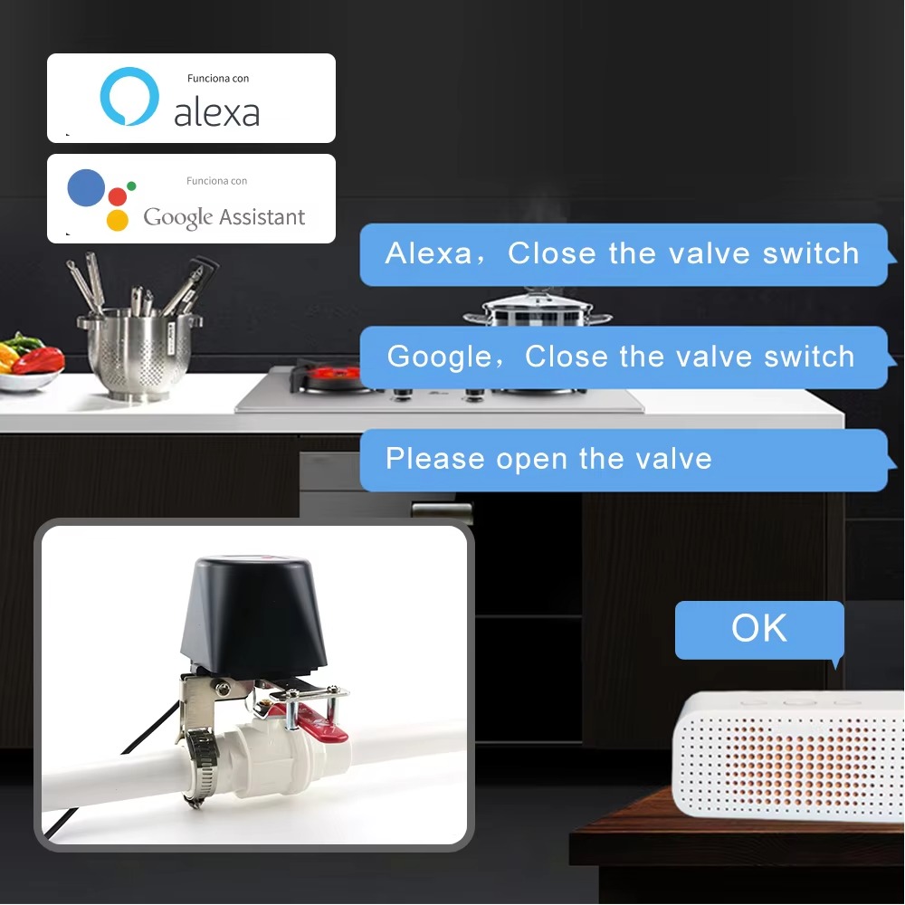 Tuya Zigbee o Wifi Valvola del - Smart Garden Tap recensione e prezzo