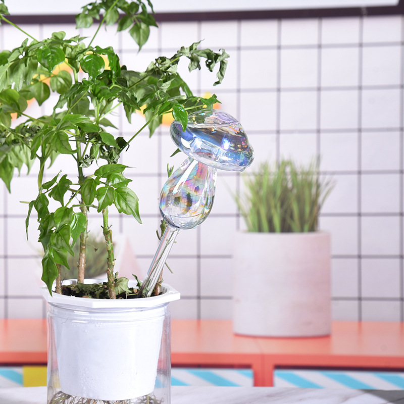1/2PCS Paglia di vetro Automat - Smart Garden Auk recensione e prezzo