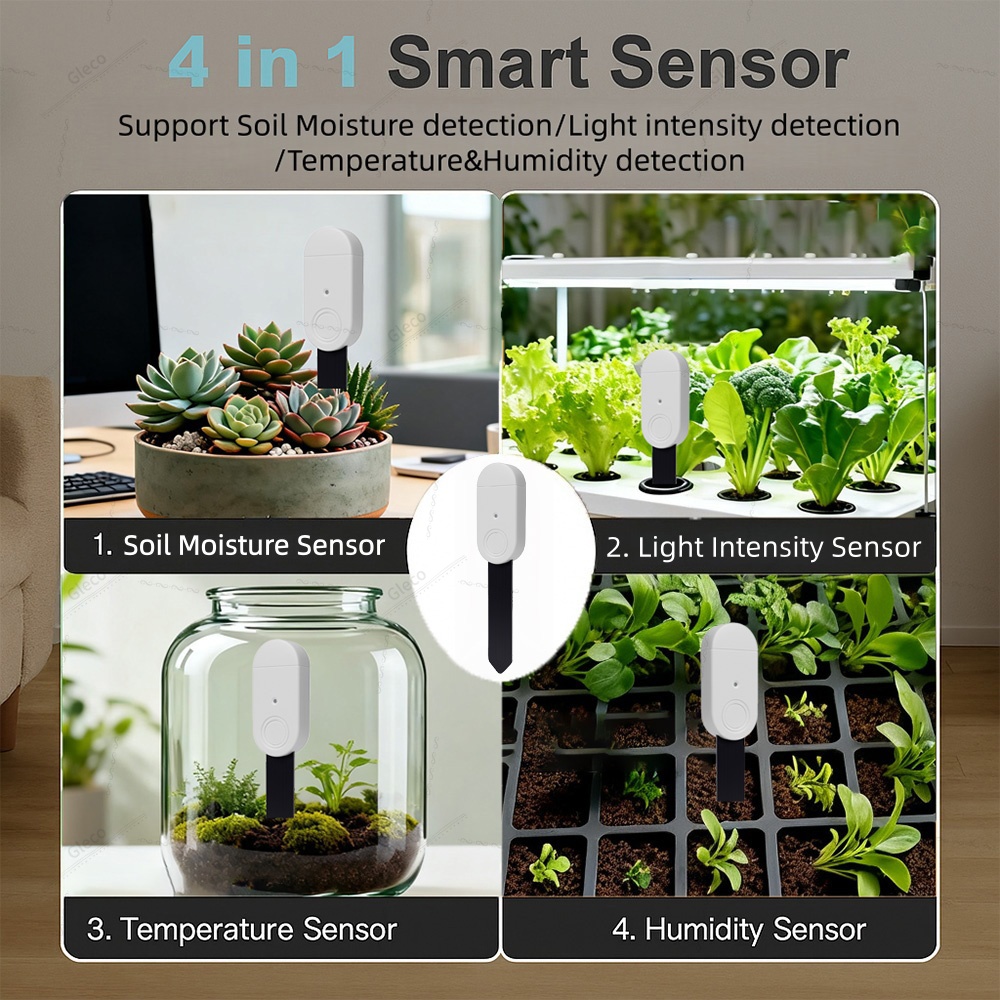 Sensore 4in1 Zigbee per Umidit - Smart Garden Light recensione e prezzo
