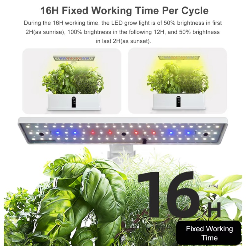 Sistema di Coltivazione Idropo - Smart Pod Garden recensione e prezzo