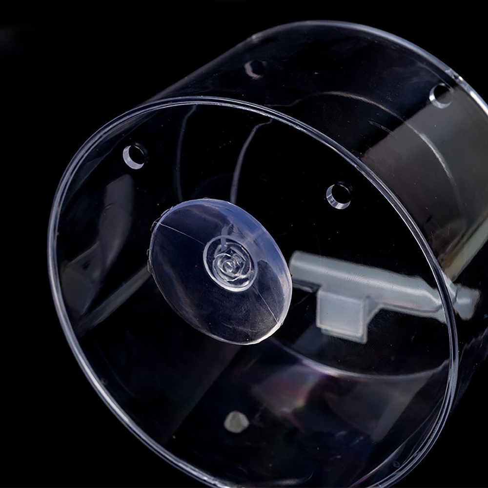 Mangiatoia per Uccelli con Tel - Smart Bird Feeder Camera recensione e prezzo
