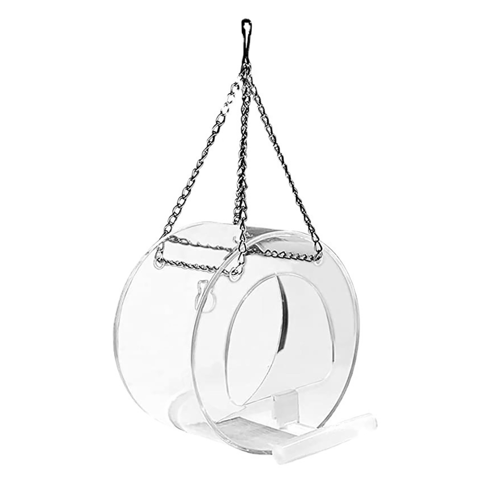 Mangiatoia per Uccelli con Tel - Smart Bird Feeder Camera recensione e prezzo