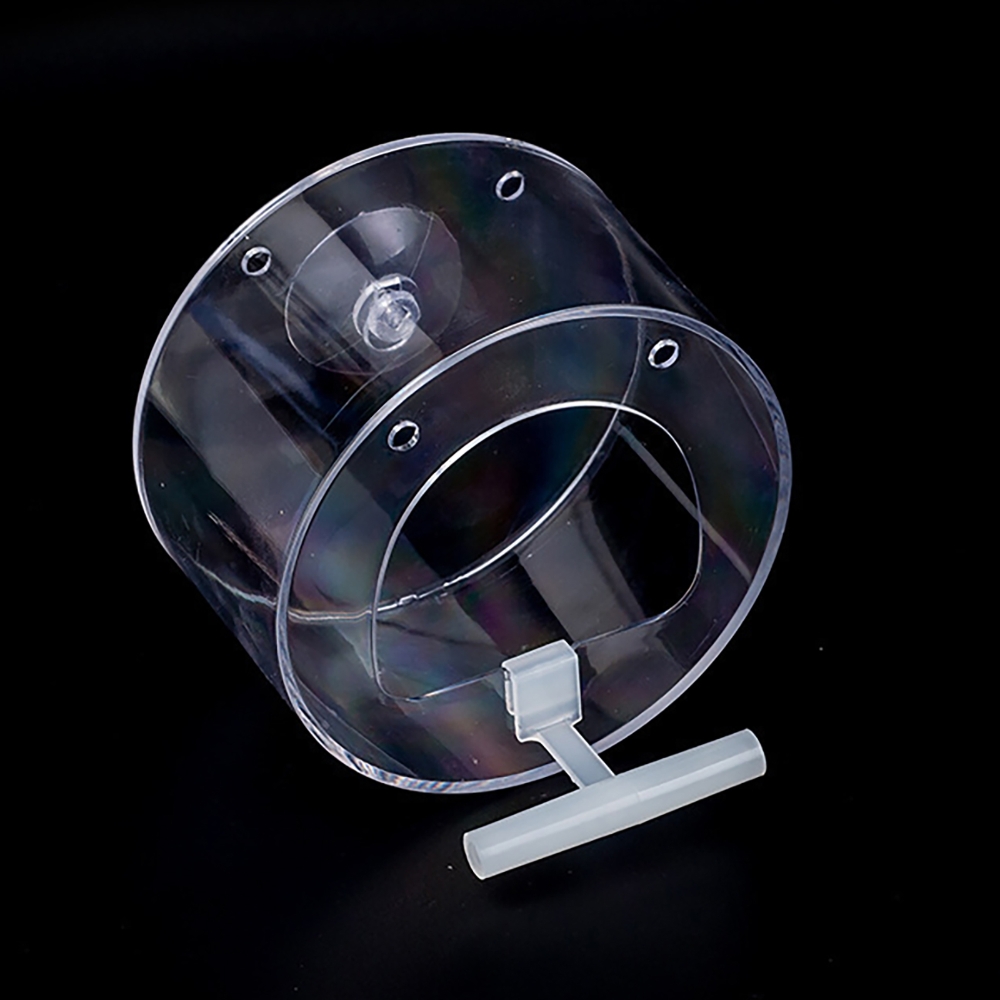 Mangiatoia per Uccelli con Tel - Smart Bird Feeder Camera recensione e prezzo