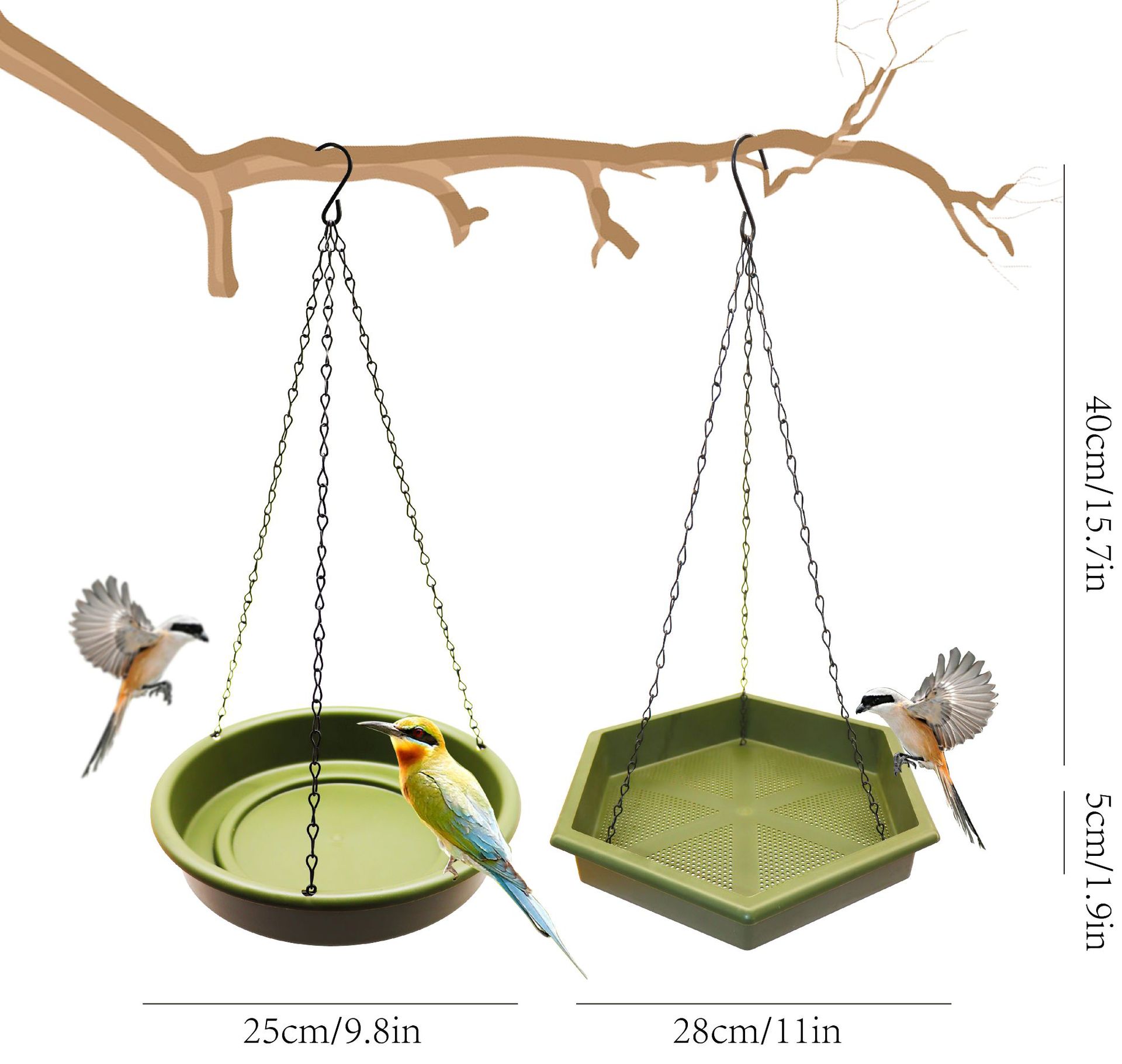 Mangiatoia e abbeveratoio per  - Smart Bird Feeder Camera recensione e prezzo