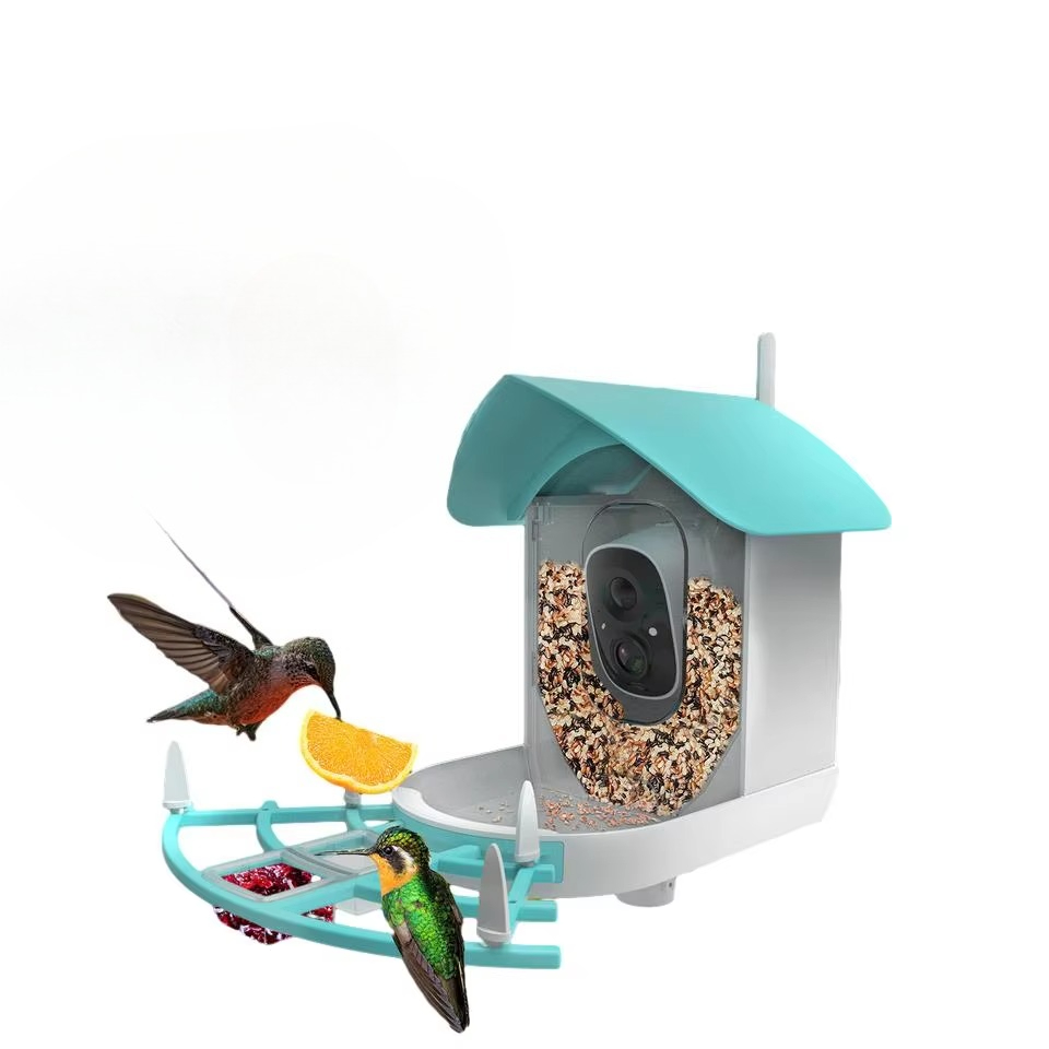 Alimentatore automatico wirele - Smart Bird Feeder Camera recensione e prezzo