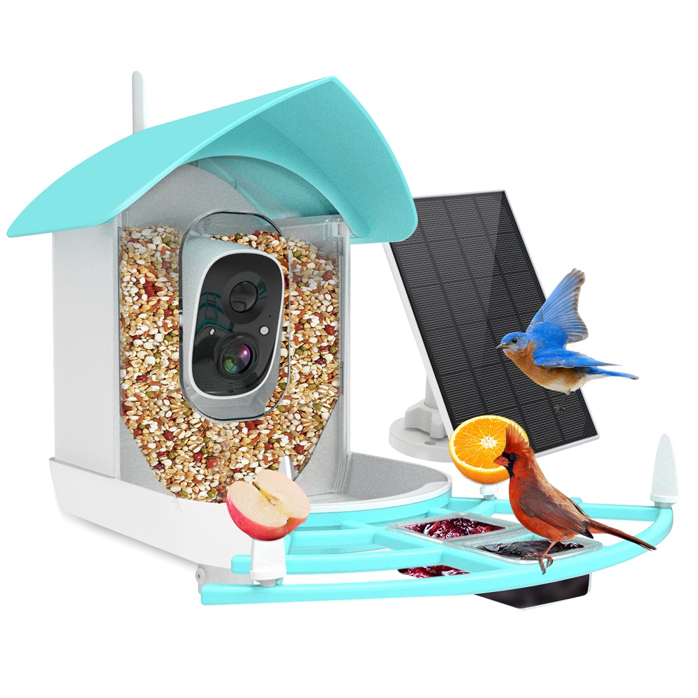 Alimentatore automatico wirele - Smart Bird Feeder Camera recensione e prezzo