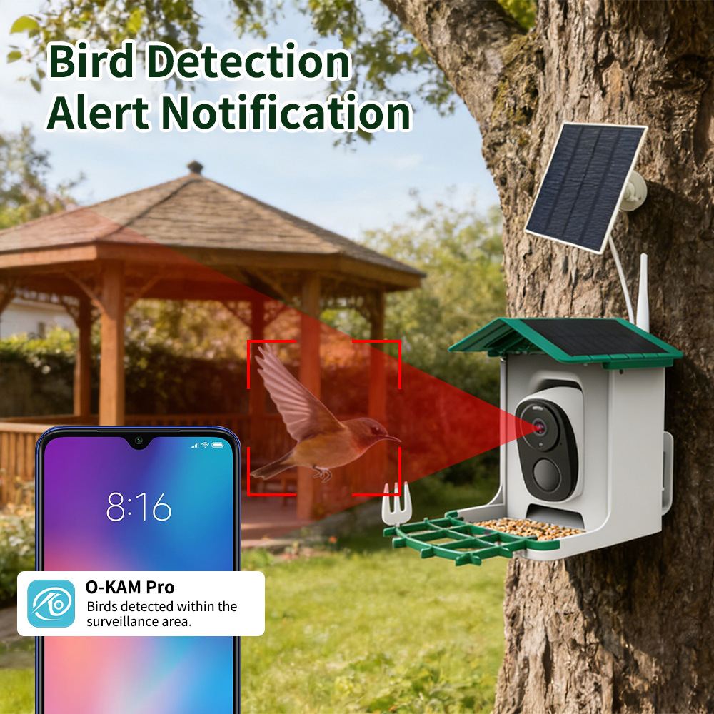 Mangiatoia Intelligente per Uc - Smart Bird Feeder Camera recensione e prezzo