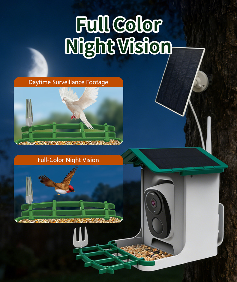 Mangiatoia Intelligente per Uc - Smart Bird Feeder Camera recensione e prezzo