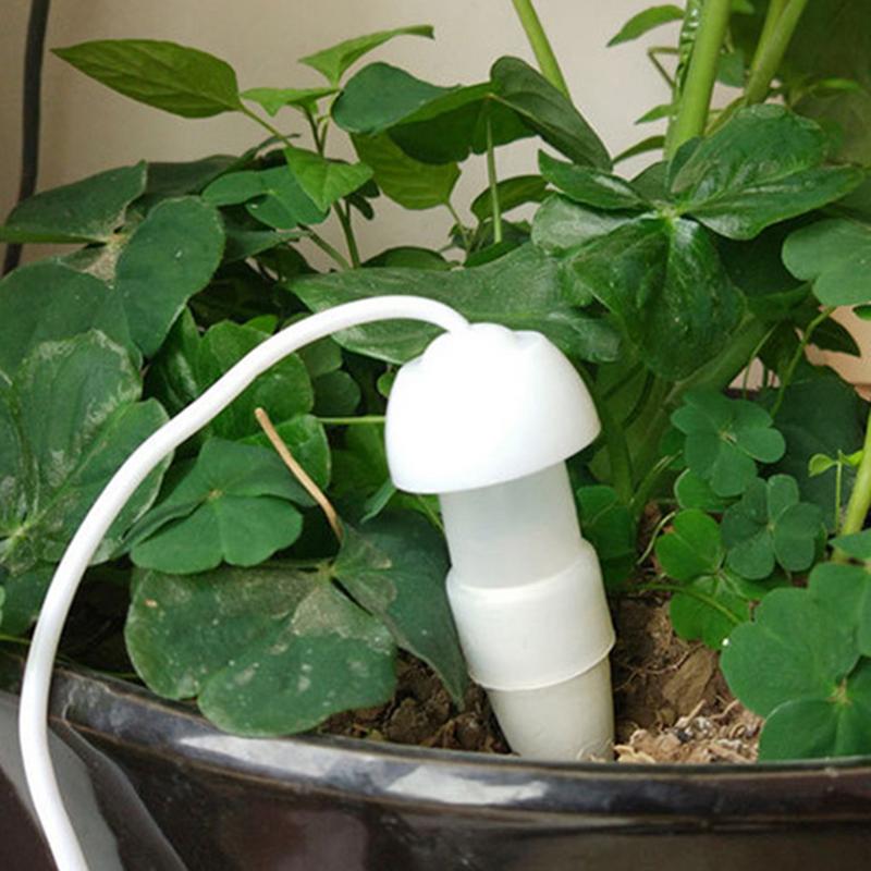 Dispositivo di irrigazione aut - Smart Garden Auk recensione e prezzo