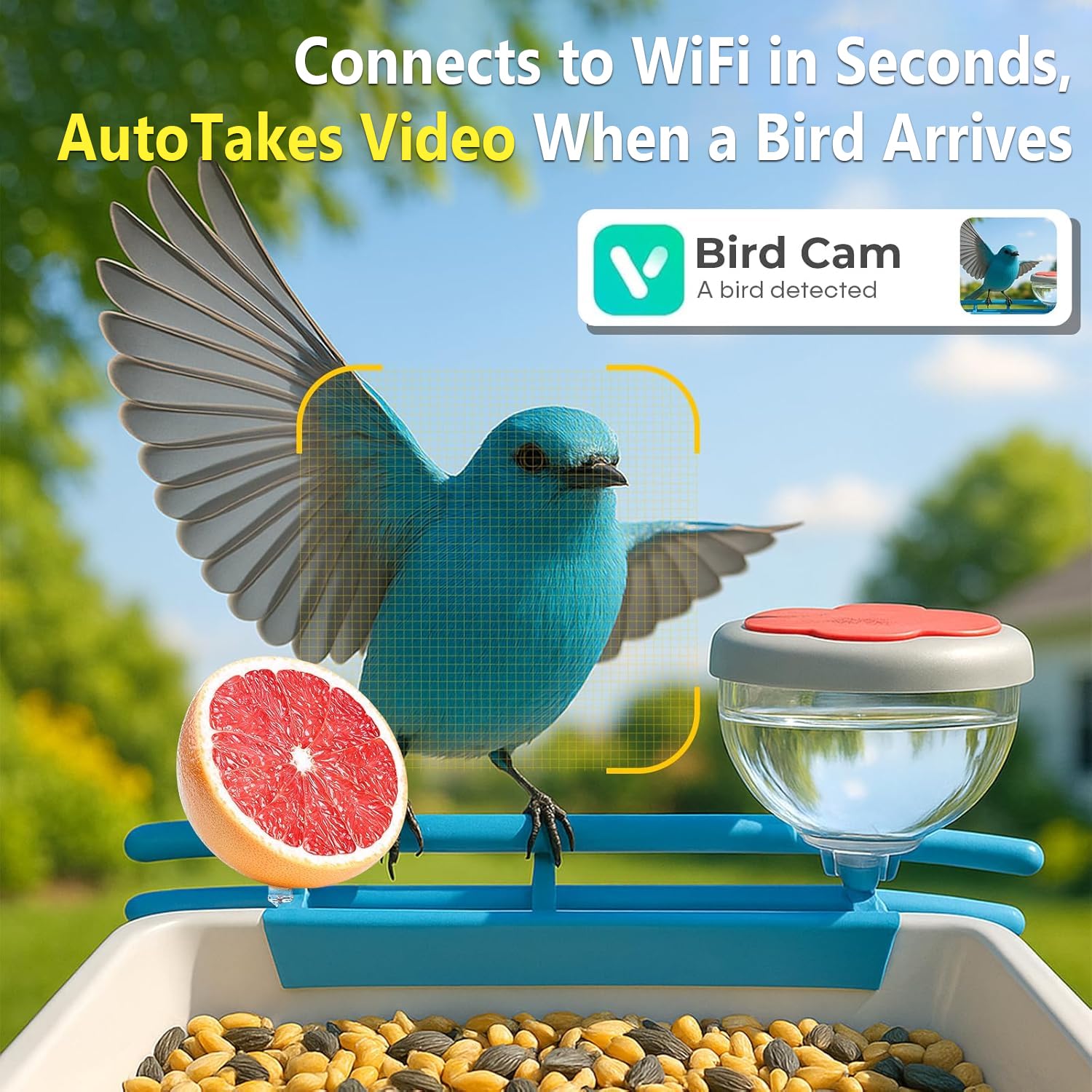 Telecamera Intelligente per Al - Smart Bird Feeder Camera recensione e prezzo