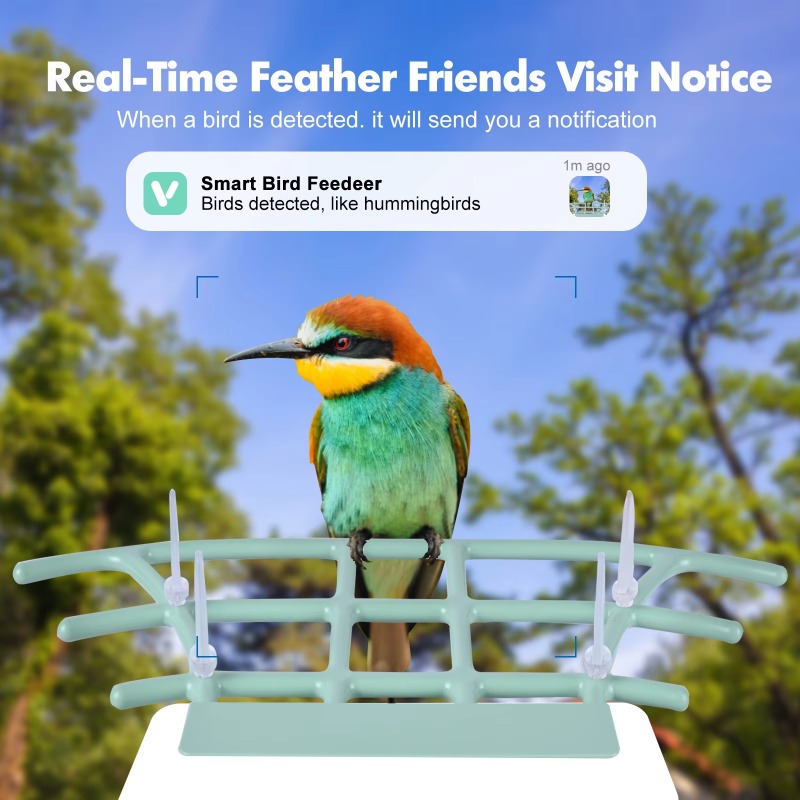 Mangiatoia per uccelli intelli - Smart Bird Feeder Camera recensione e prezzo