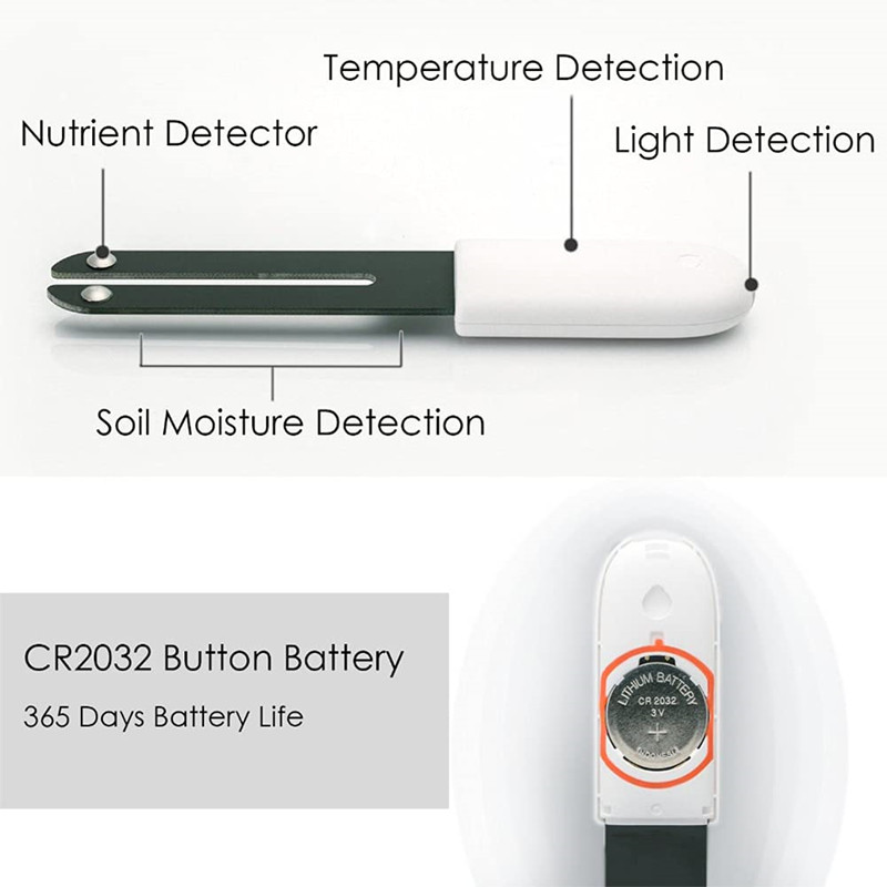HHCC Fiore Monitor Flora Giard - Smart Garden Water recensione e prezzo