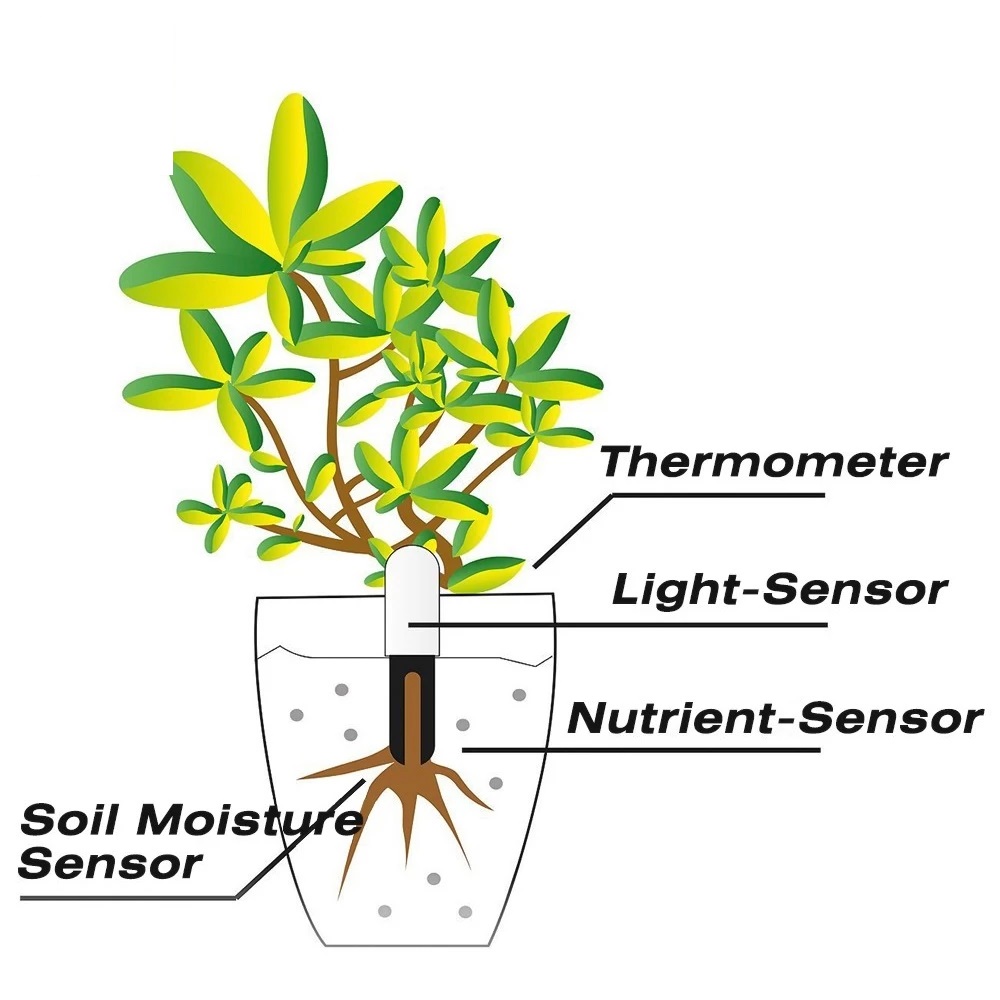 HHCC Fiore Monitor Flora Giard - Smart Garden Water recensione e prezzo