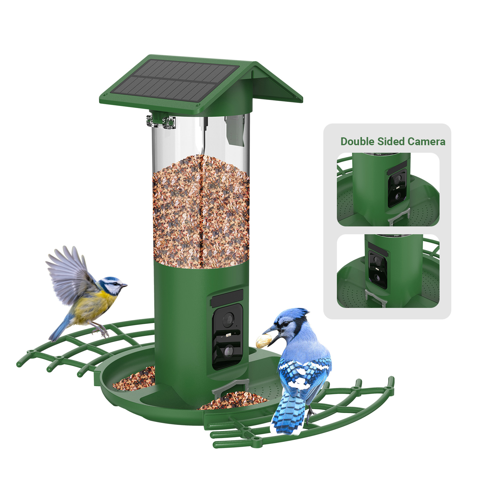 Mangiatoia per Uccelli Intelli - Smart Bird Feeder Camera recensione e prezzo
