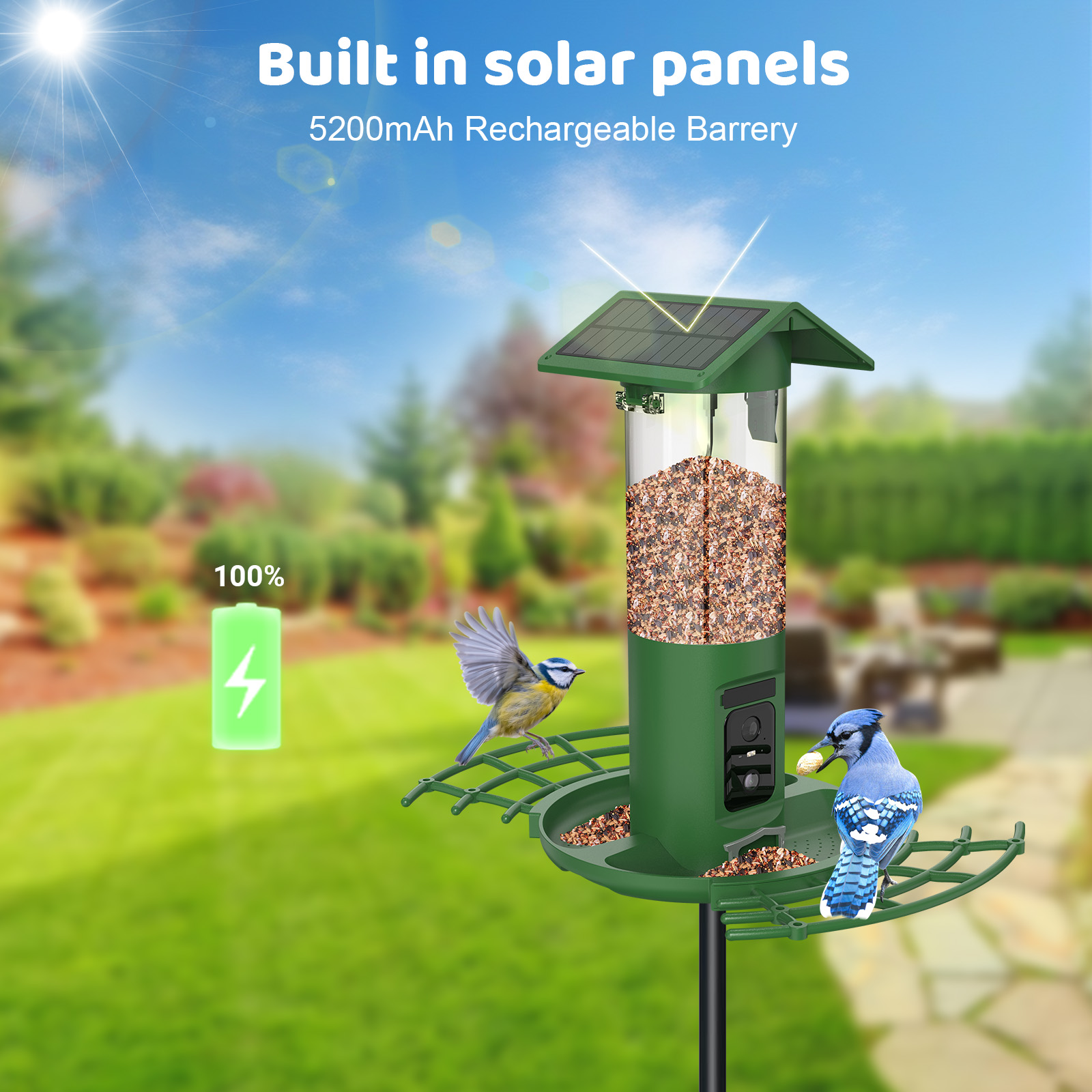 Mangiatoia per Uccelli Intelli - Smart Bird Feeder Camera recensione e prezzo