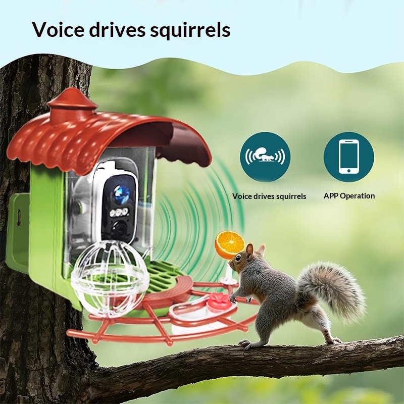 Mangiatoia per Uccelli Intelli - Smart Bird Feeder Camera recensione e prezzo