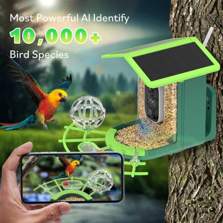 Mangiatoia Intelligente per Uc - Smart Bird Feeder Camera recensione e prezzo