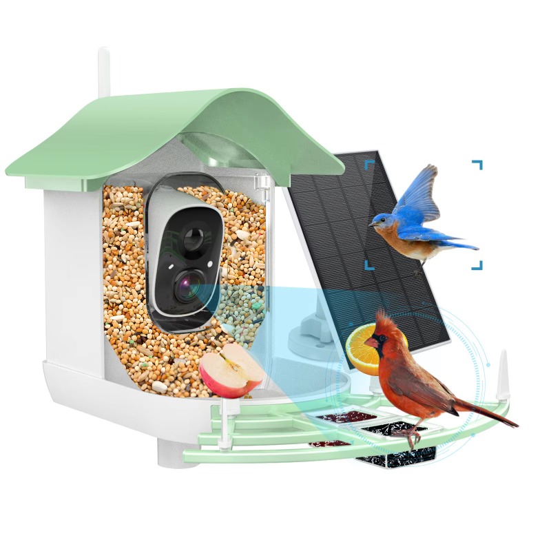2026 App Video Fotocamera con  - Smart Bird Feeder Camera recensione e prezzo