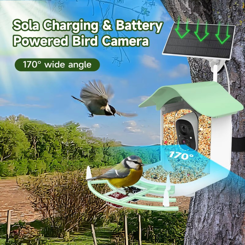 2026 App Video Fotocamera con  - Smart Bird Feeder Camera recensione e prezzo