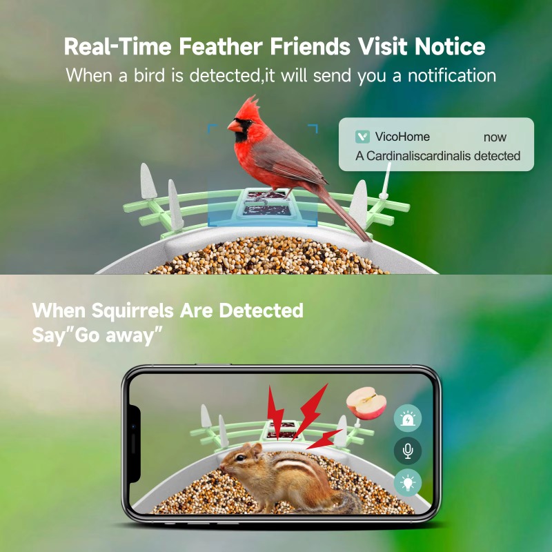 2026 App Video Fotocamera con  - Smart Bird Feeder Camera recensione e prezzo