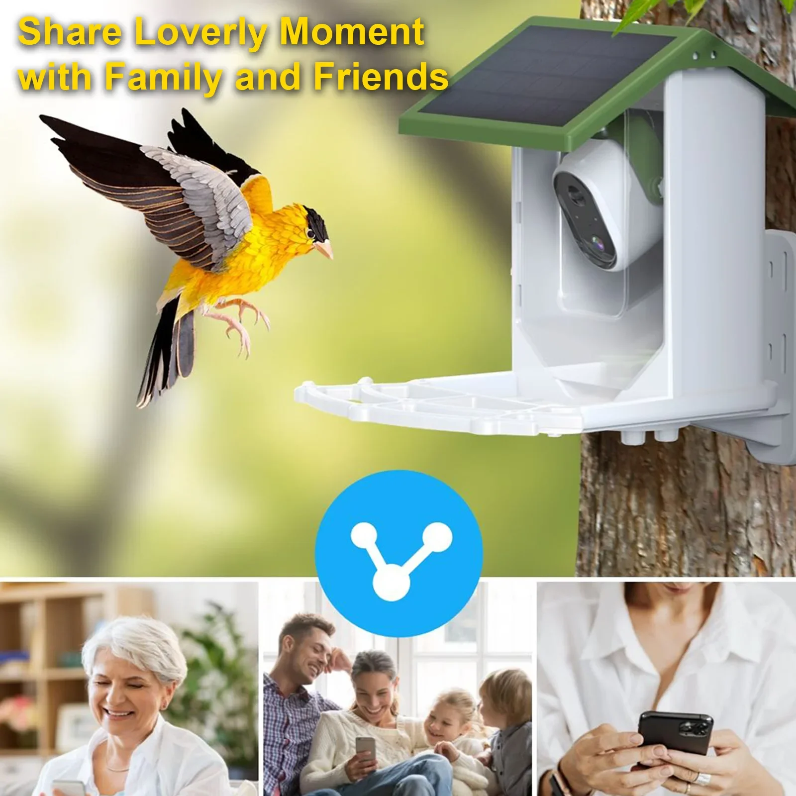 Mangiatoia per uccelli selvati - Smart Bird Feeder Camera recensione e prezzo