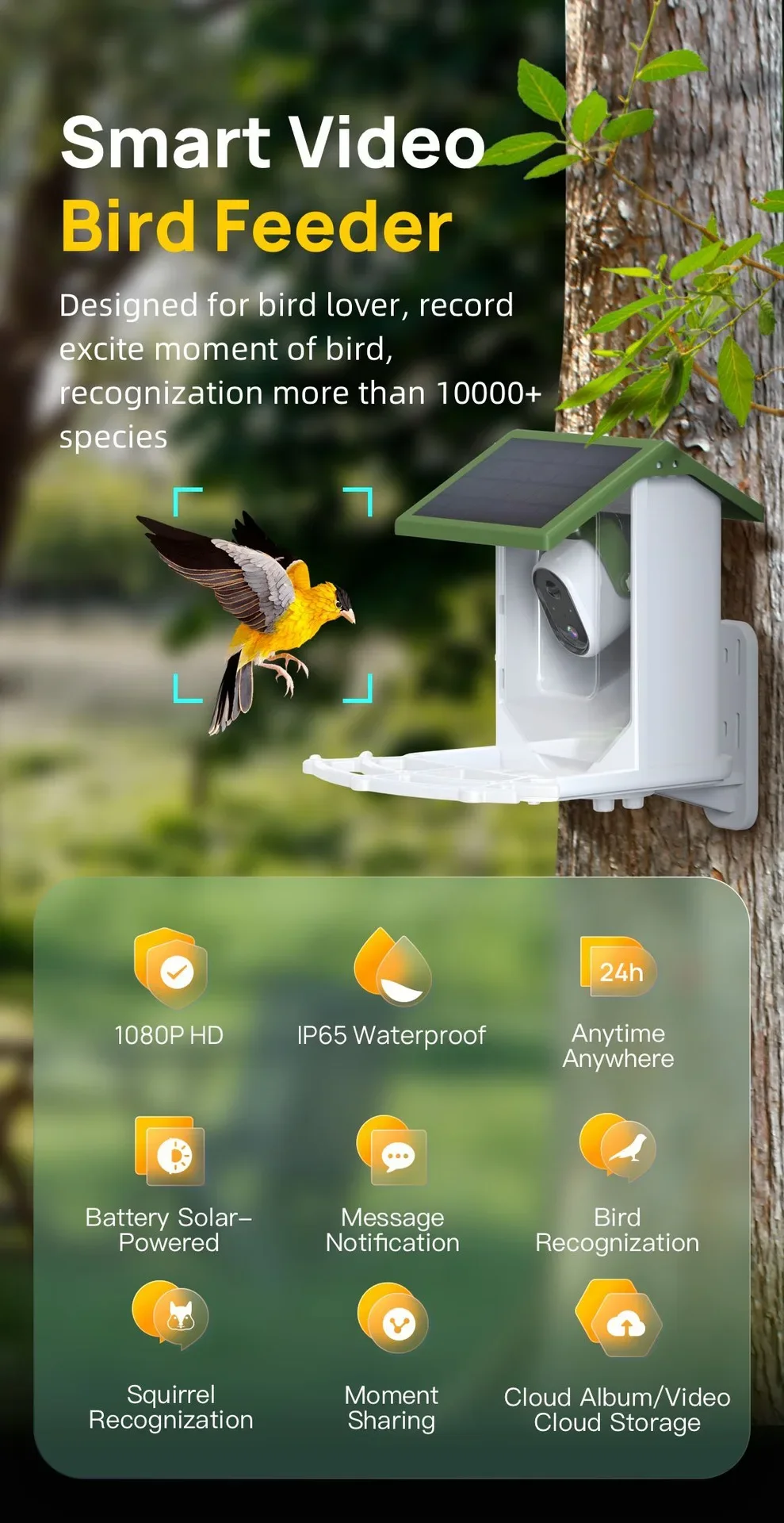 Mangiatoia per uccelli selvati - Smart Bird Feeder Camera recensione e prezzo